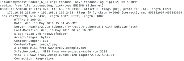 Using tcpdump and the BPF language to ﬁlter on the IP ID ﬁeld.