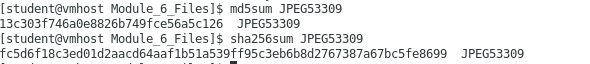 md5sum and sha256sum